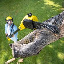 Artificial Turf Installation in Highland Lakes, NJ