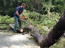 Highland Lakes, NJ Tree Care Company